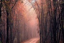 NG娱乐- 第十九届运动会棒垒球比赛举行 