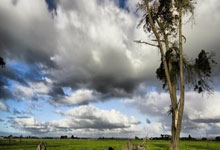 NG娱乐- 第十九届运动会棒垒球比赛举行 